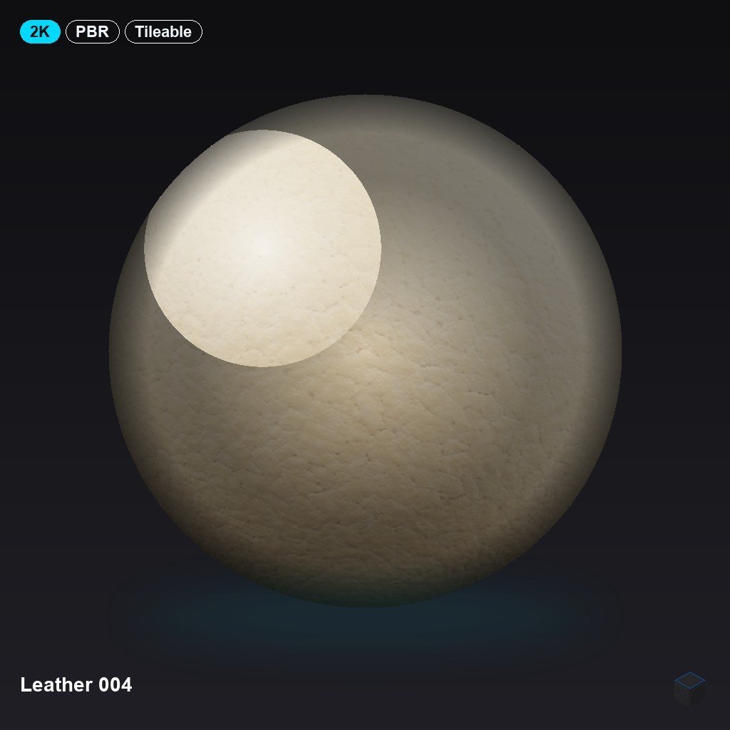 Leather 004