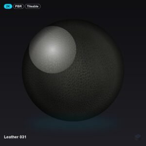 Leather 031
