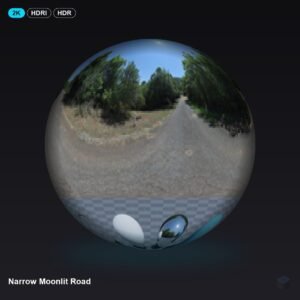 Narrow Moonlit Road
