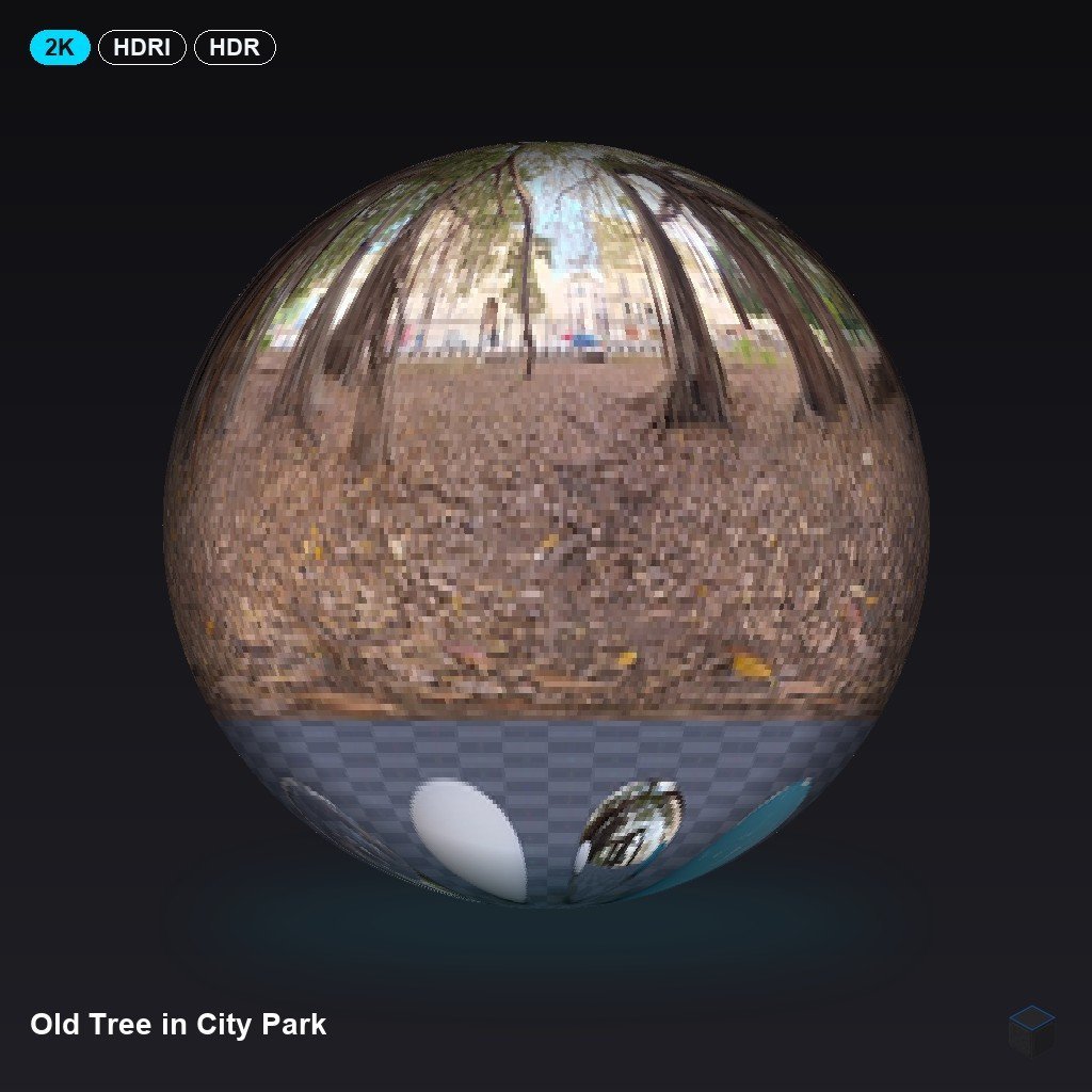 Old Tree in City Park