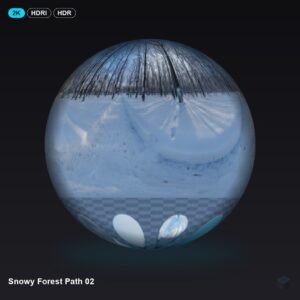 Snowy Forest Path 02